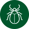 ic&ocirc;ne de parasite